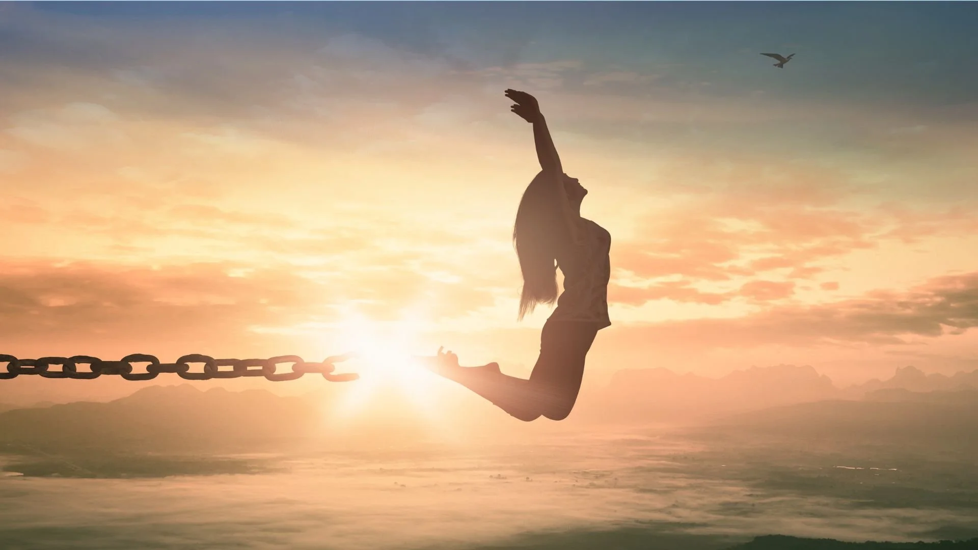 Discerning Diet Facts & Fiction