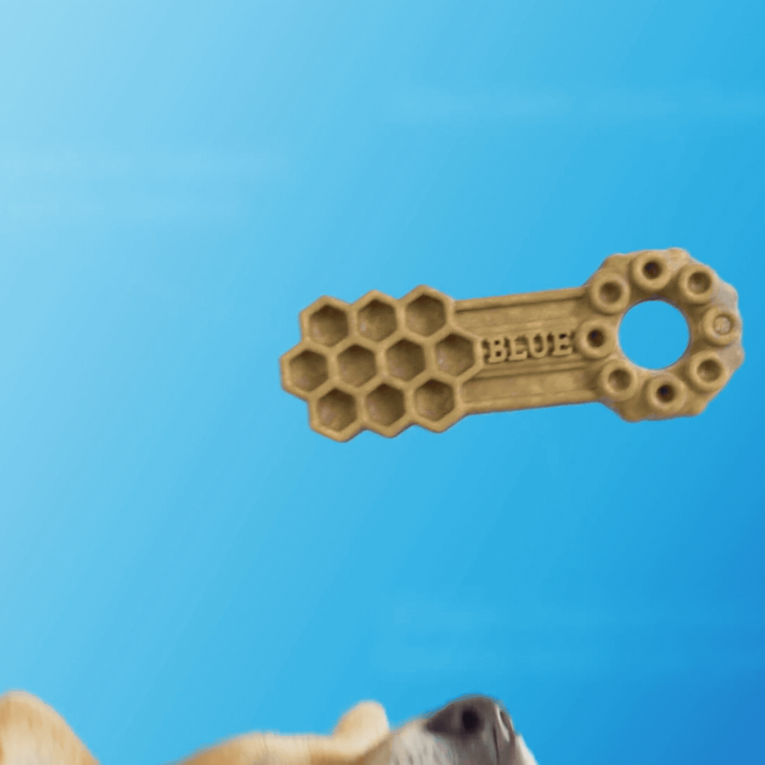 DentalChew_30s_noNew (1080 x 1080 px) (1).gif
