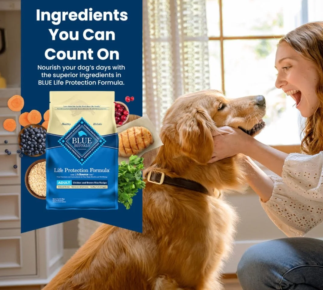 Screenshot 2024-12-30 at 12.52.59 PM.jpg