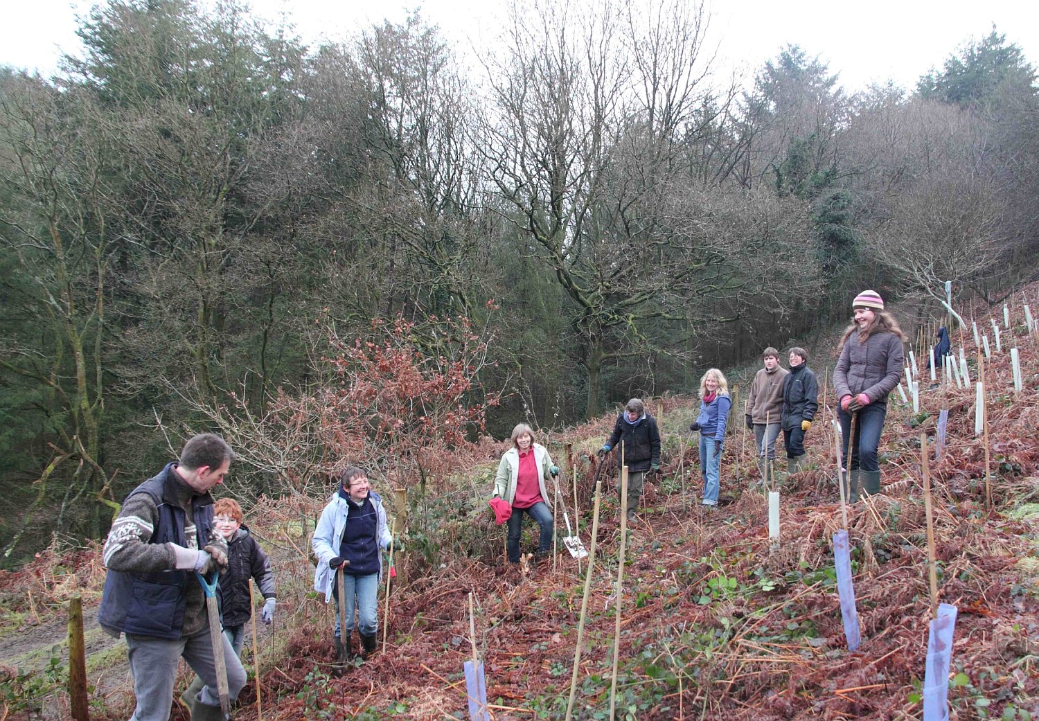 Enlarging the Forest of Dean