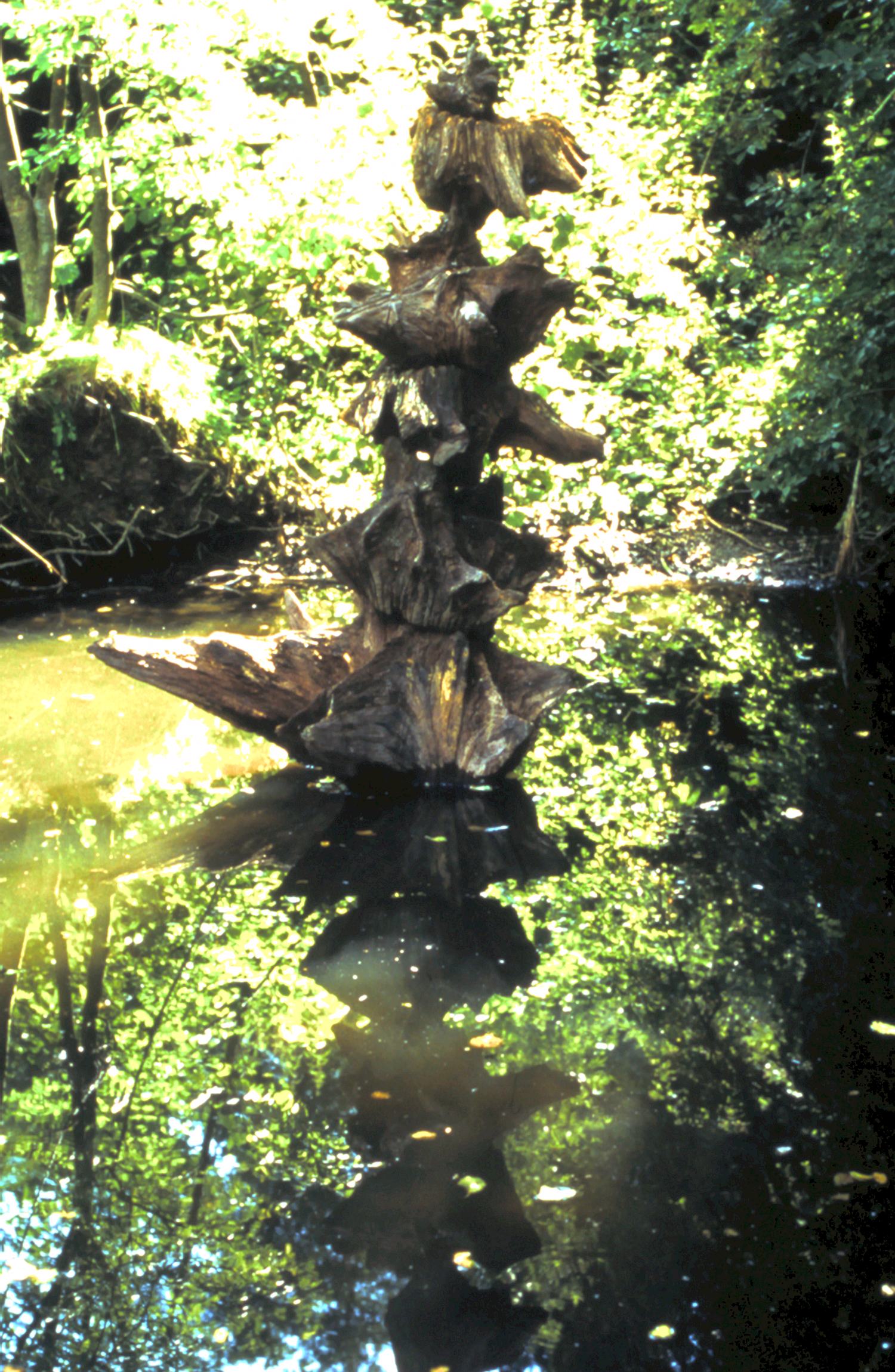 Root Star Tower close up