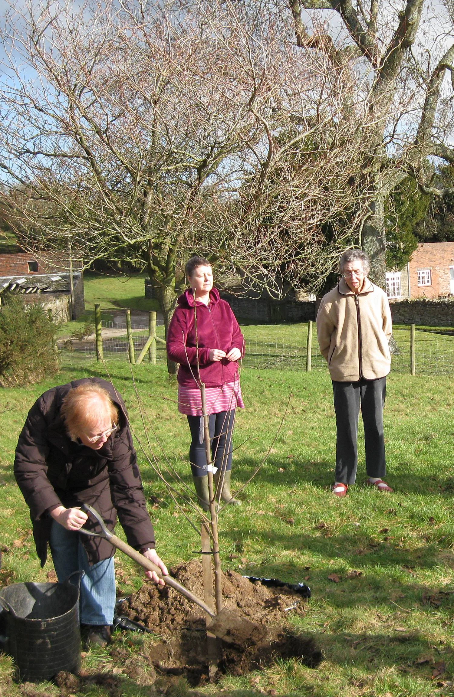 Example of commemorative tree planting