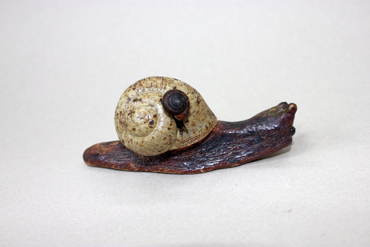 Snail on snail