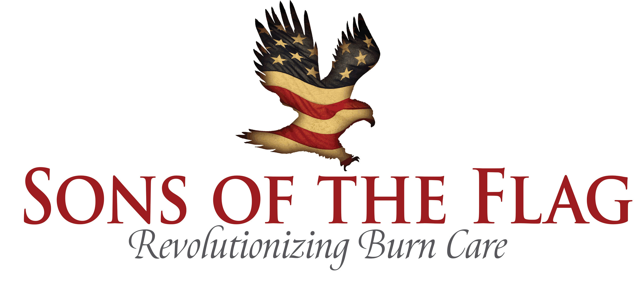 Sons of the Flag logo (website).jpg