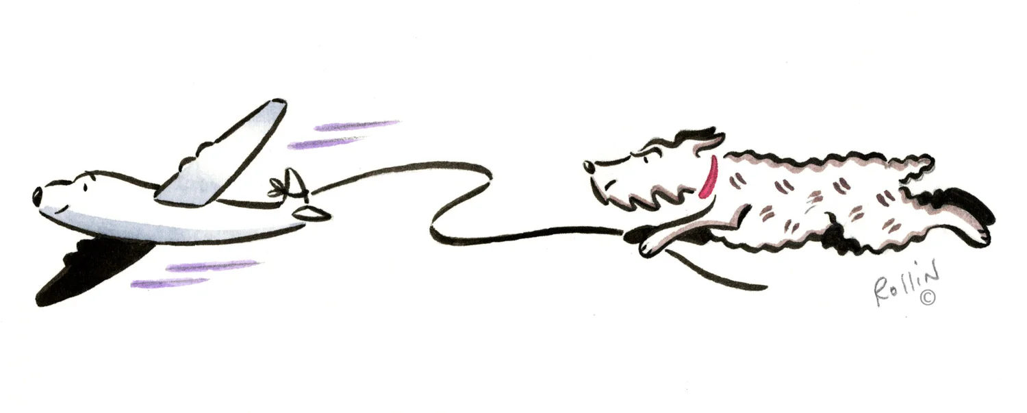 Airfare Watchdog