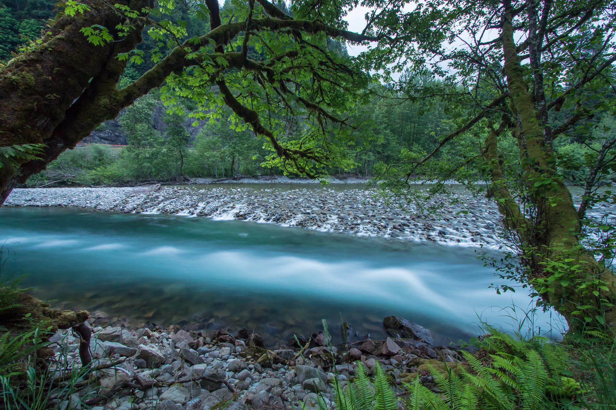 subtledream_portfolio_2018_NATURE-61.jpg
