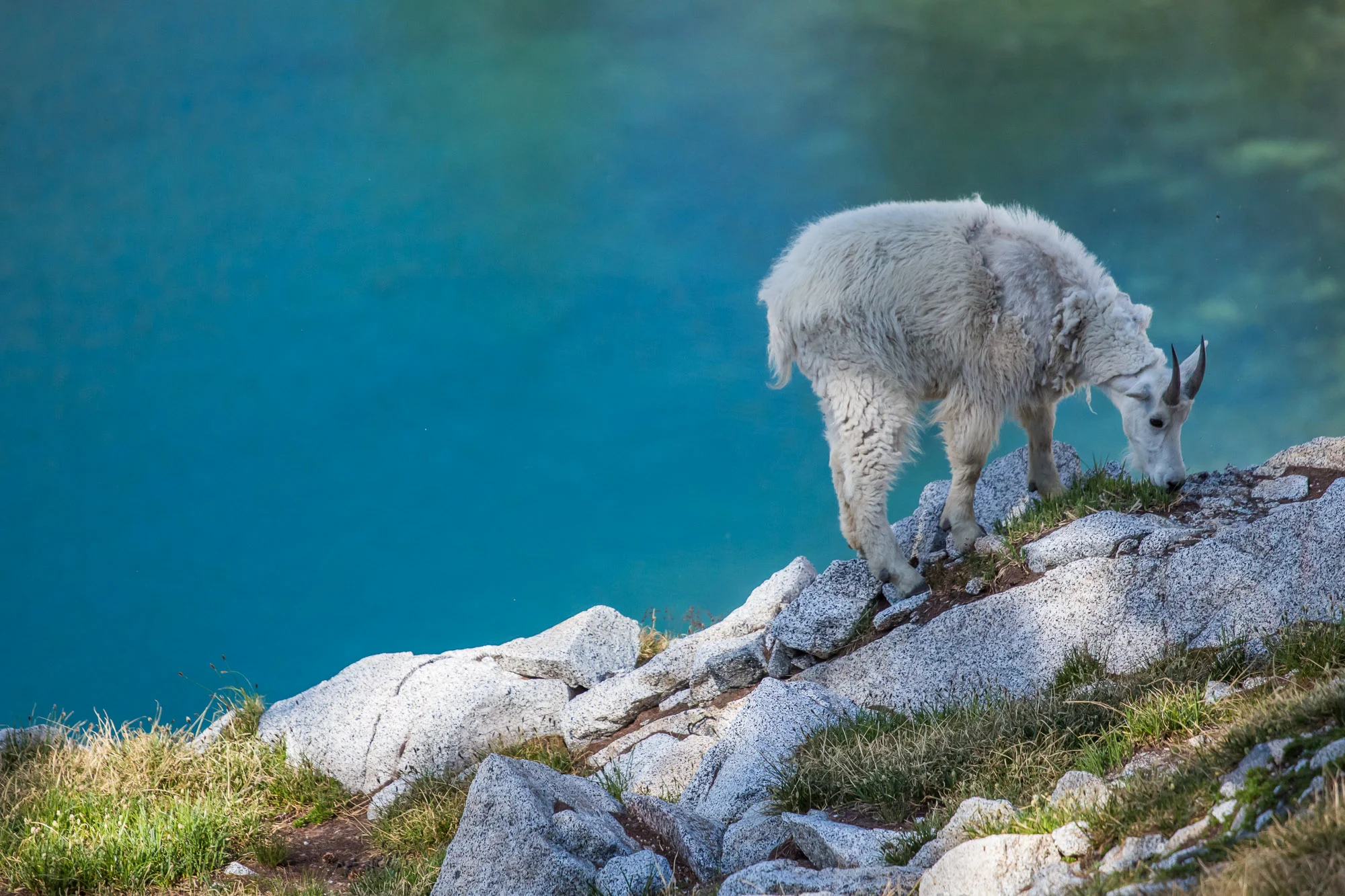 subtledream_portfolio_2018_NATURE-64.jpg