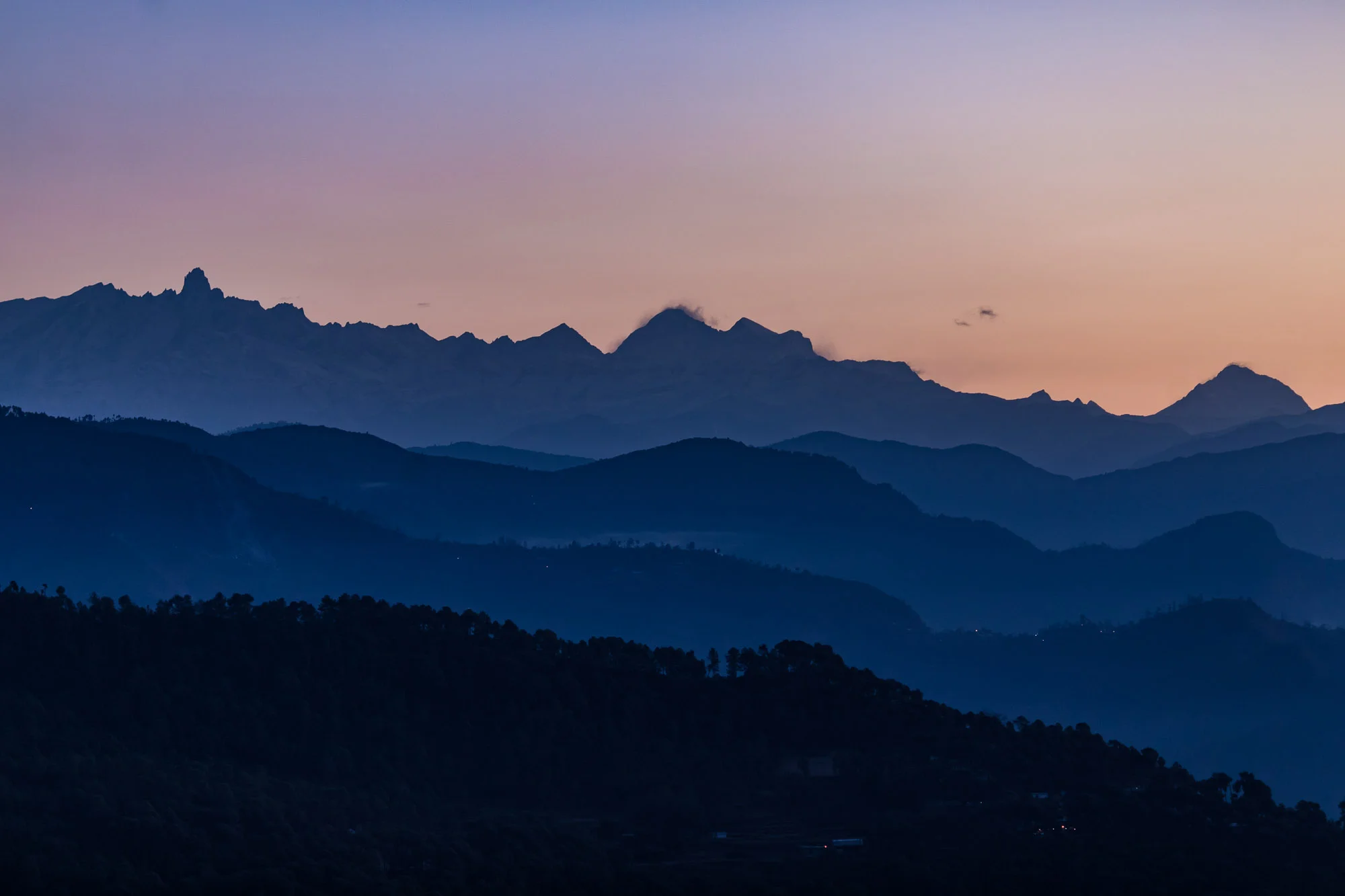 subtledream_portfolio_2018_NATURE-94.jpg