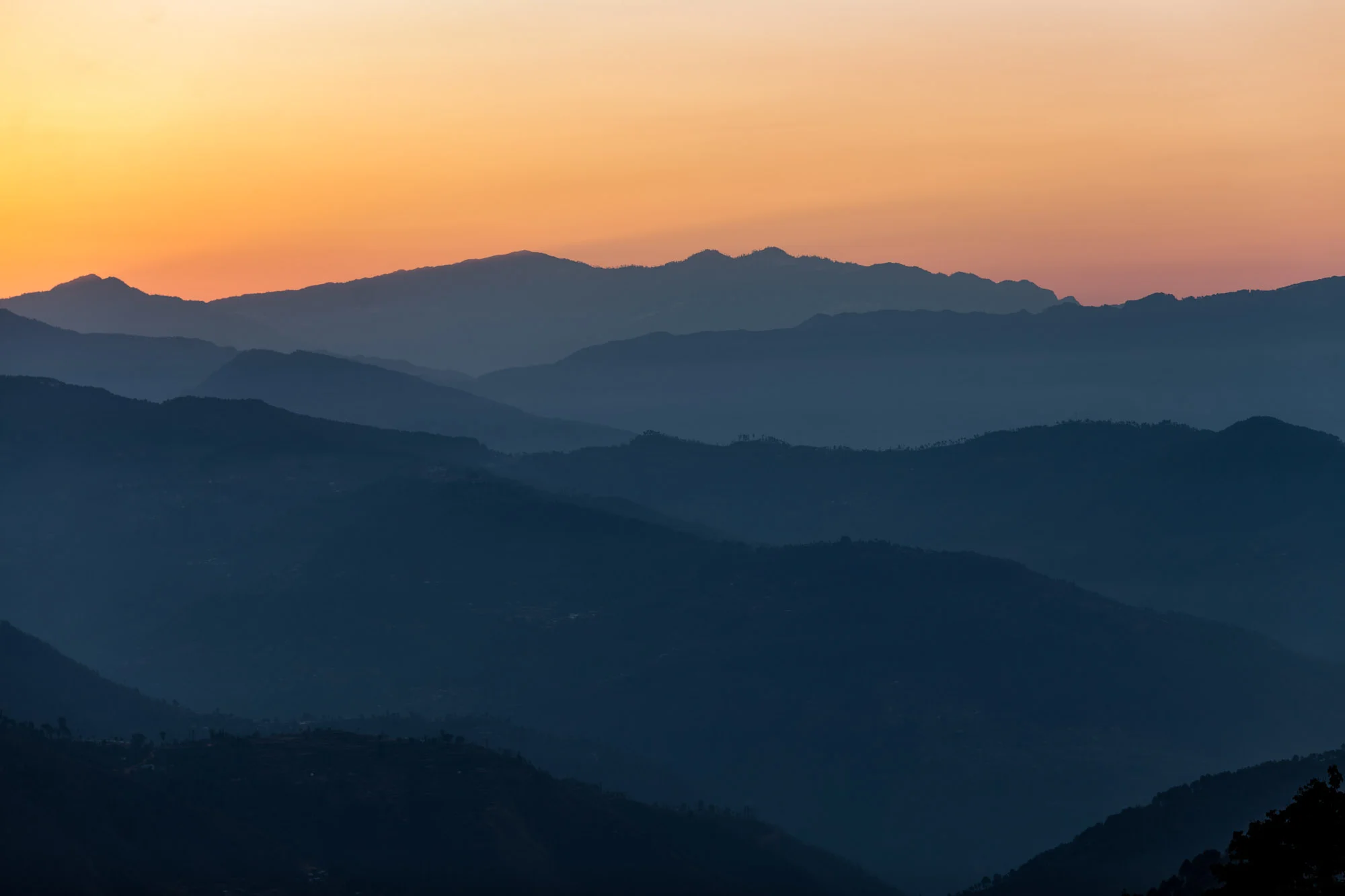 subtledream_portfolio_2018_NATURE-95.jpg