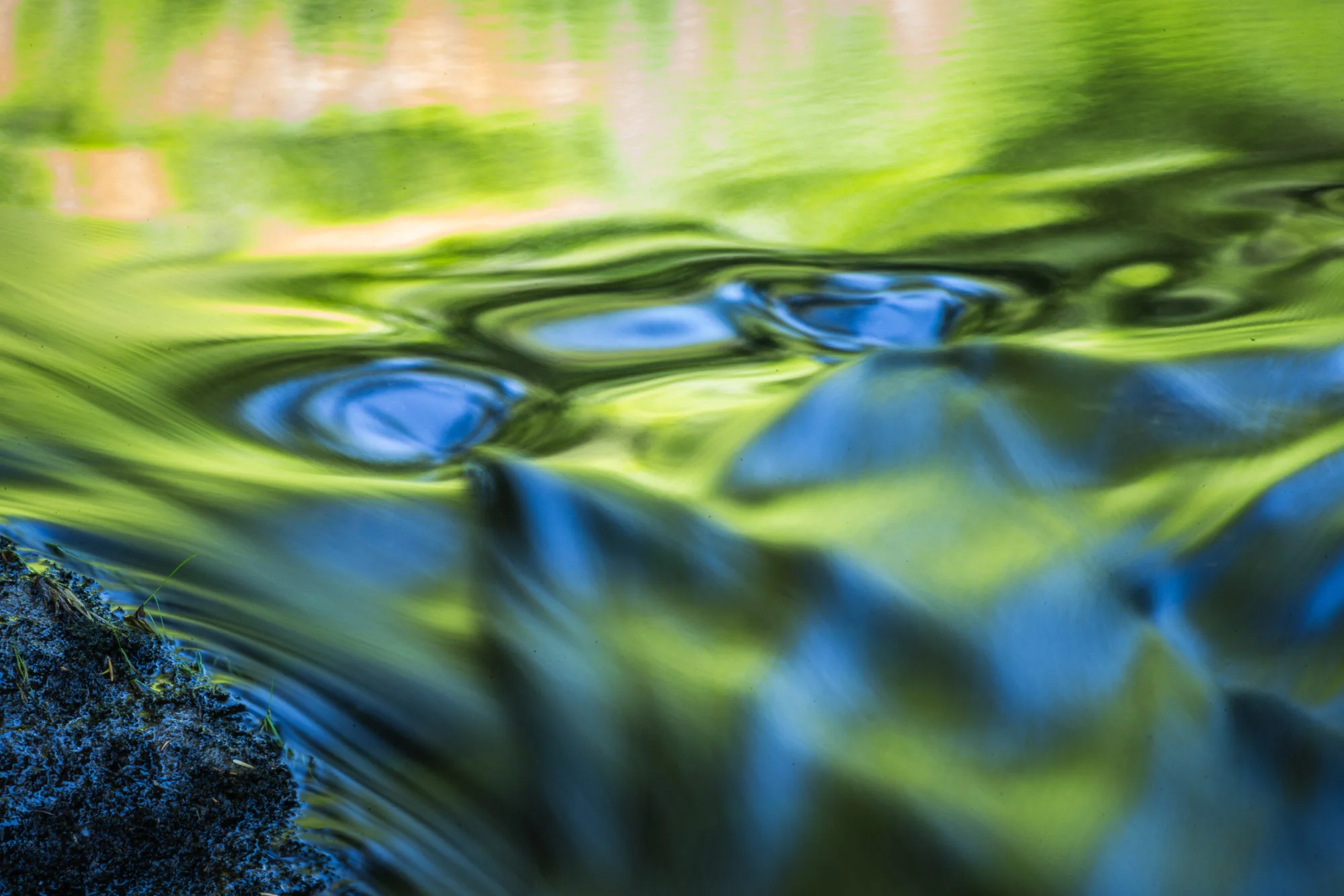 subtledream_portfolio_2018_NATURE-107.jpg
