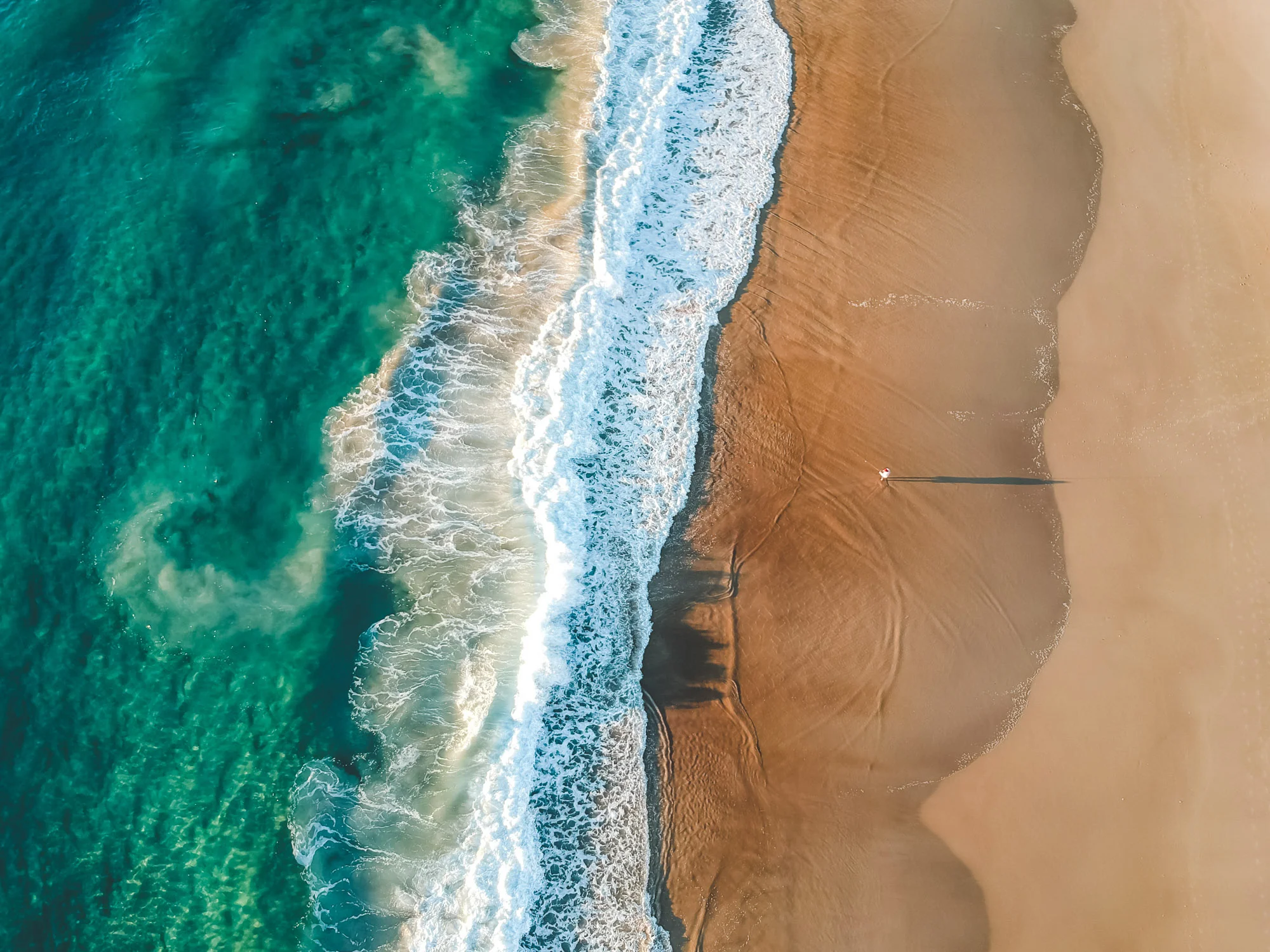 subtledream_portfolio_2018_NATURE-114.jpg