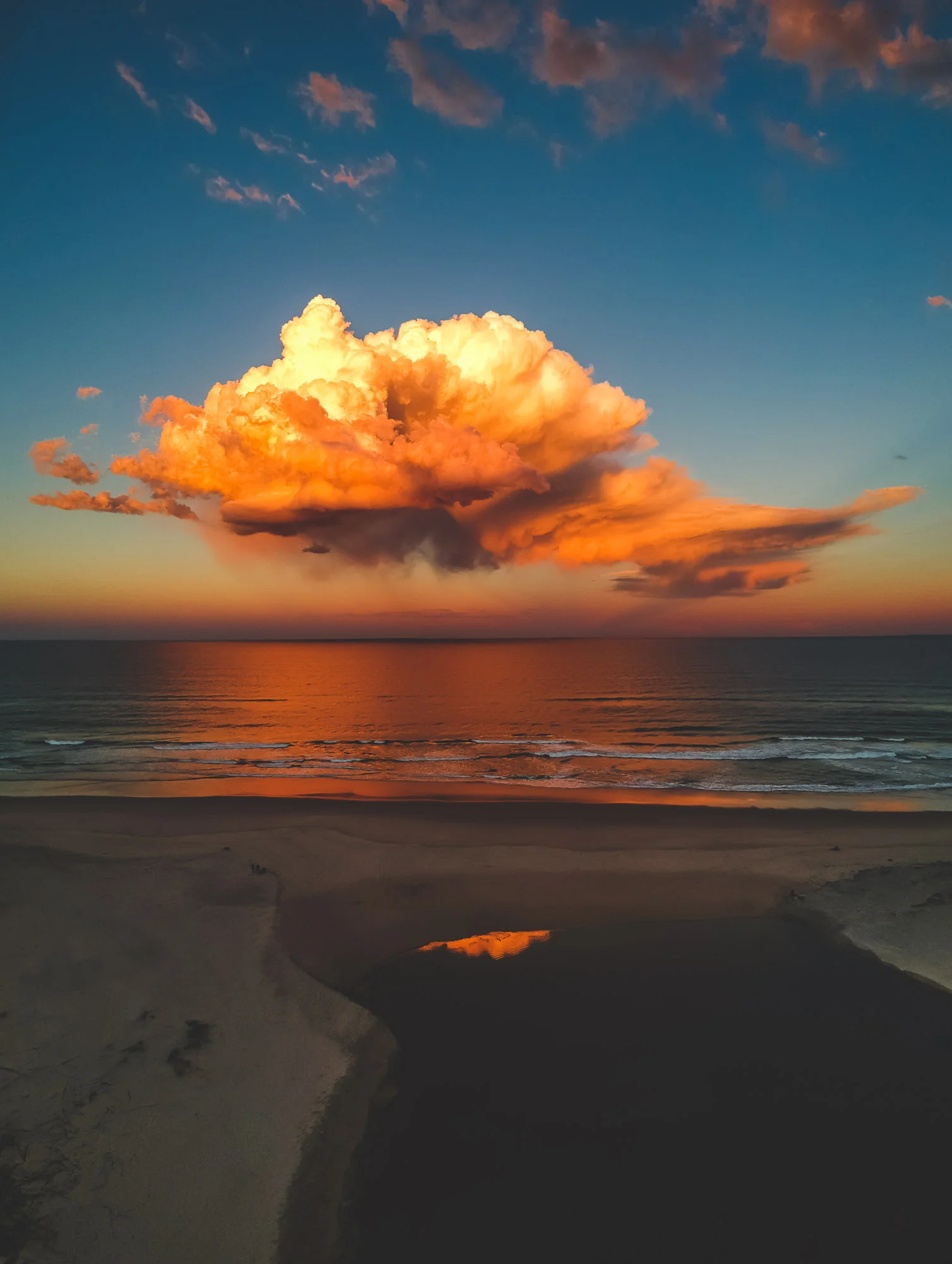 subtledream_portfolio_2018_NATURE-117.jpg