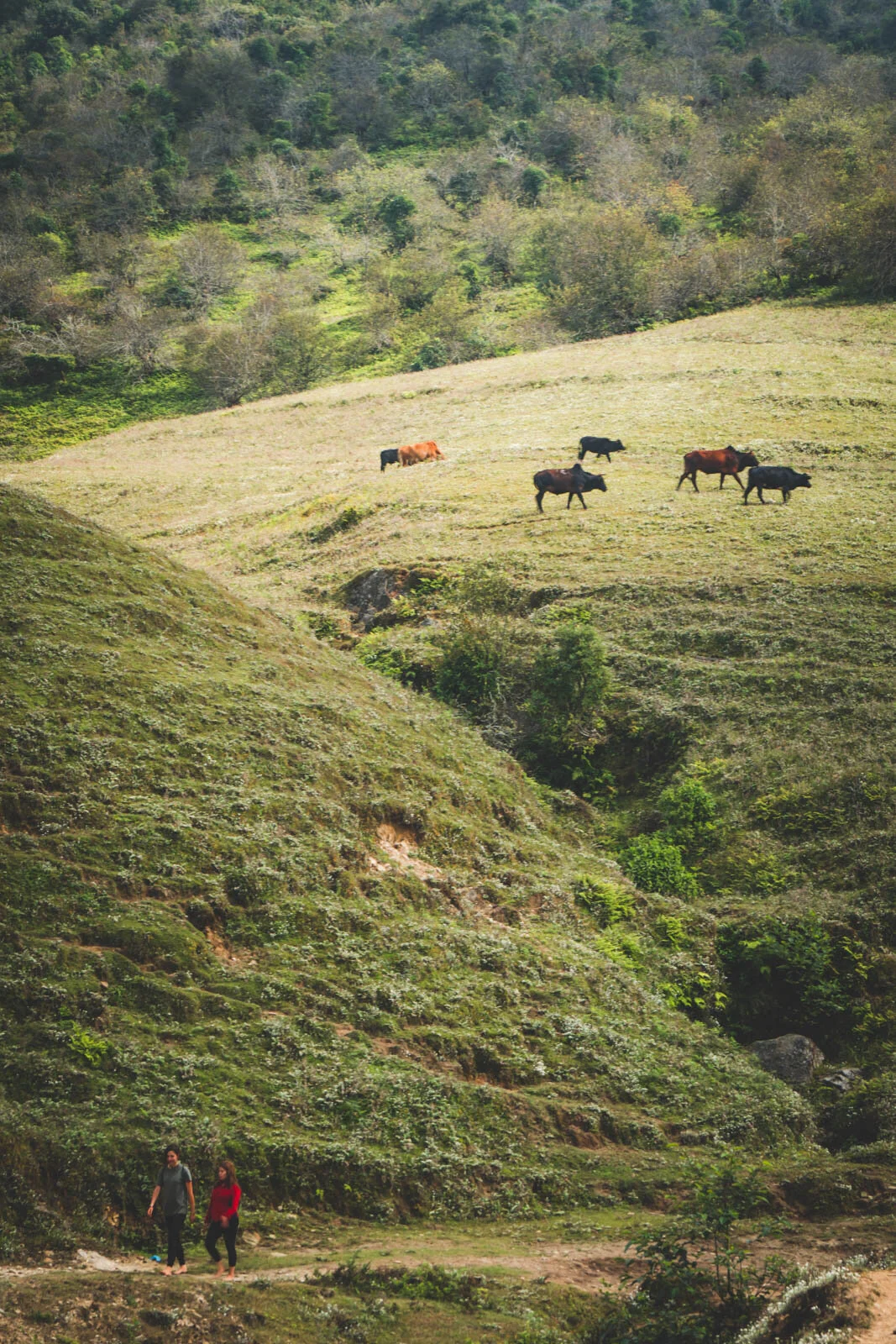 Adventure-Travel_Gallery_2009-2020-183.jpg