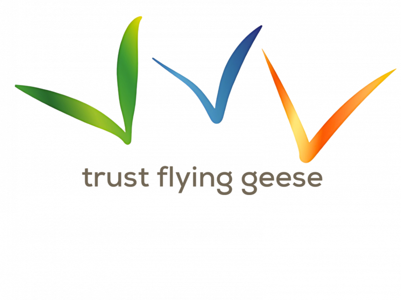 BCD73488-6036-40B5-9818-54EDAAD8F42C-2.png