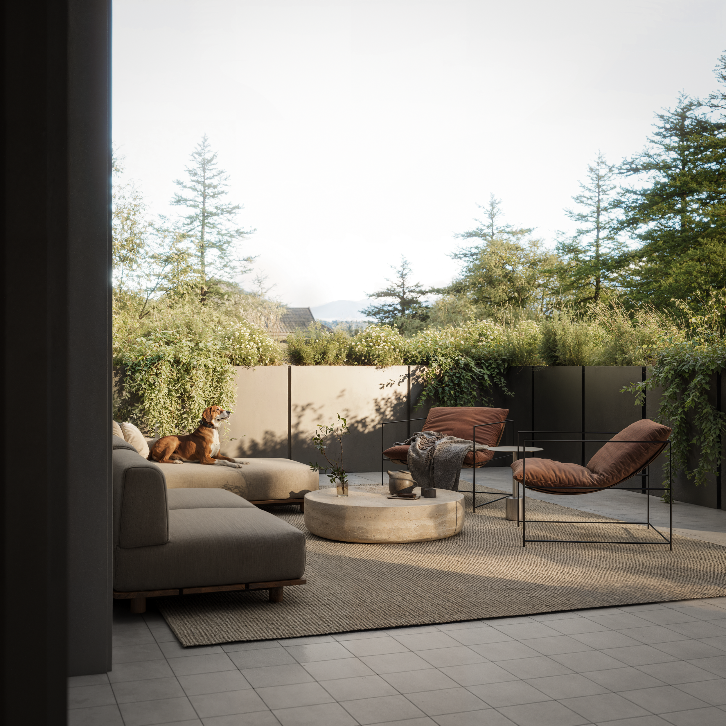 Willa - Patio.png