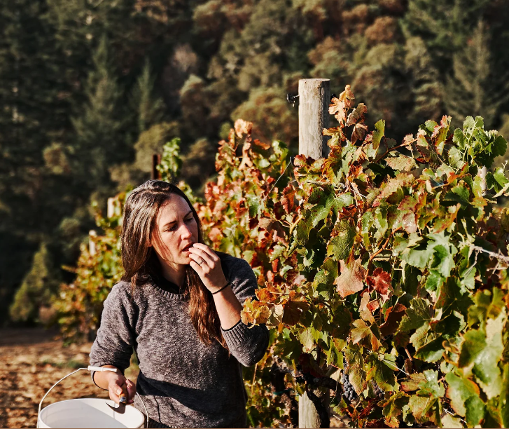 California Wine Dinner