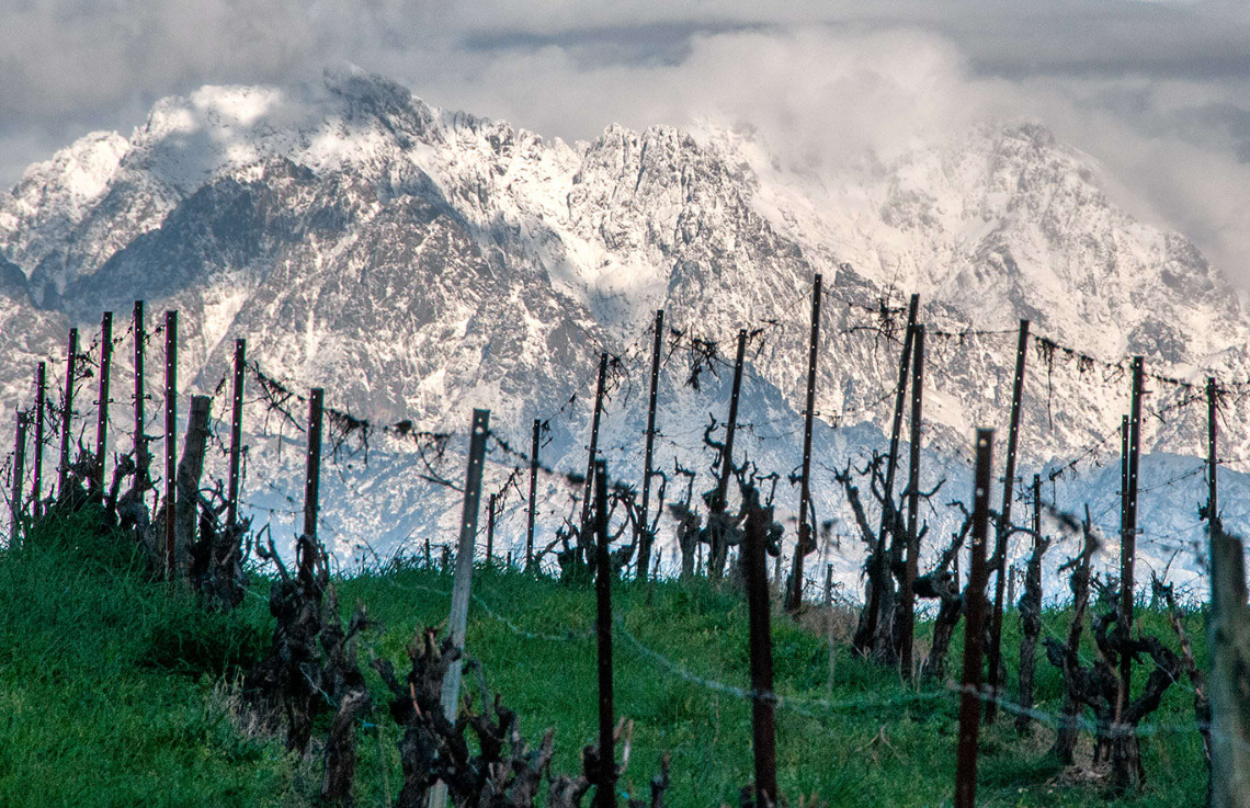 Italian Wine Tasting