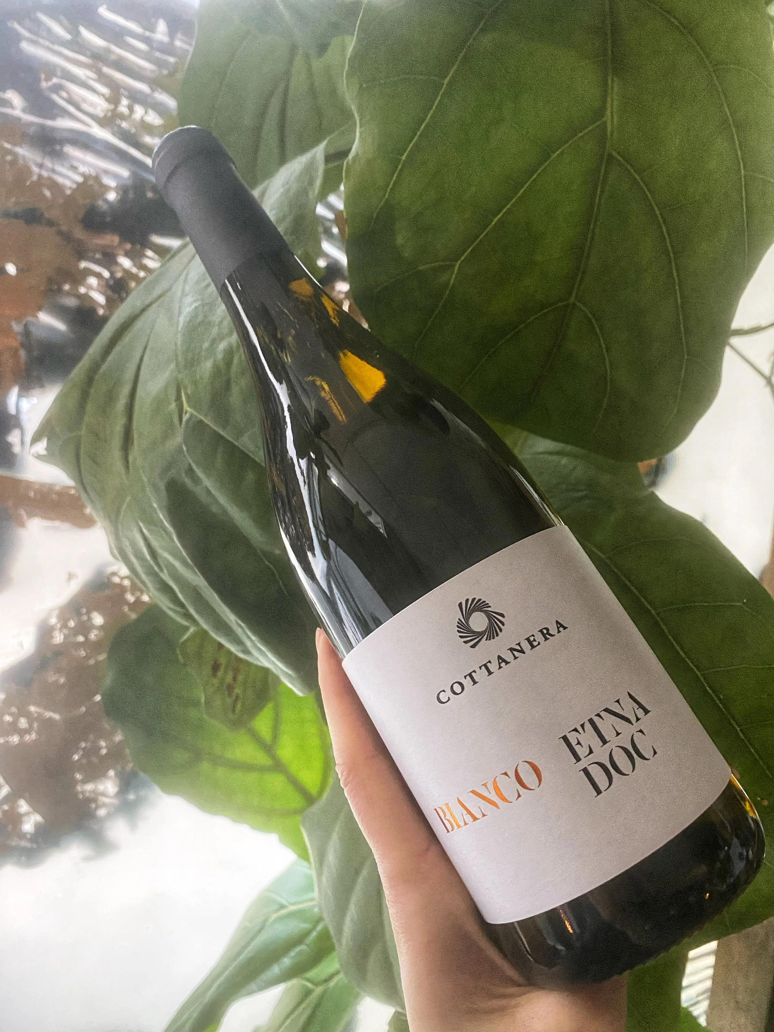 French and Italian Wine Tasting