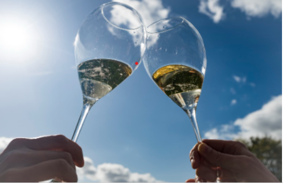 Grower Champagne Tasting