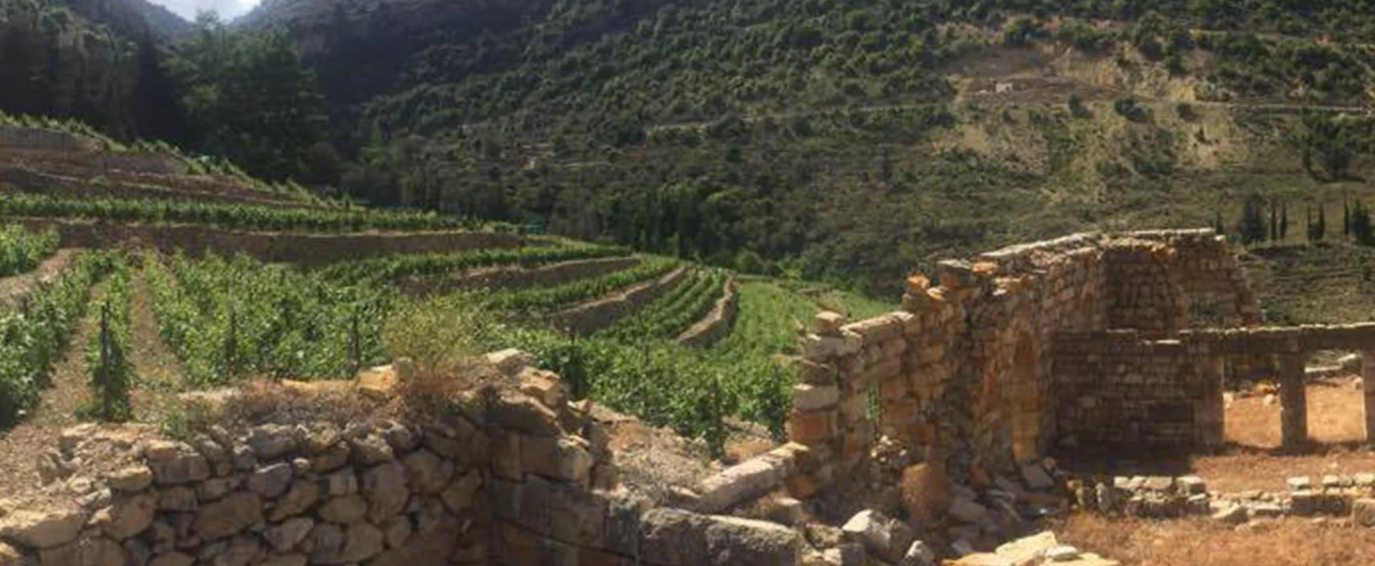 Lebanese and Amenian Wine Tasting