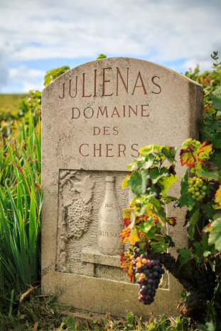 Alain Jungenet Wine Tasting