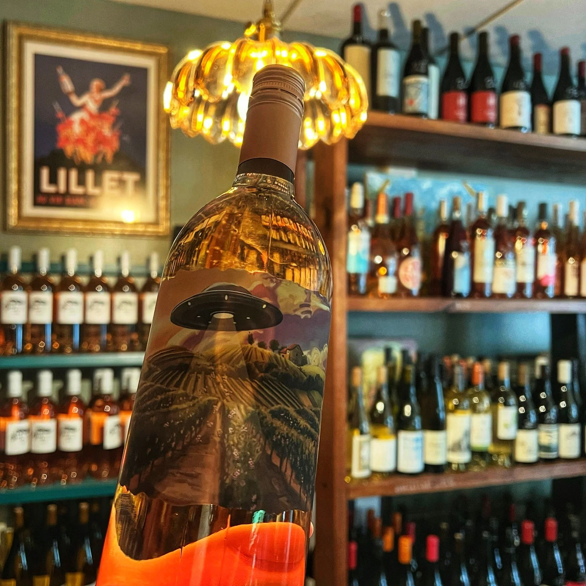 French and Slovenian Wine Tasting