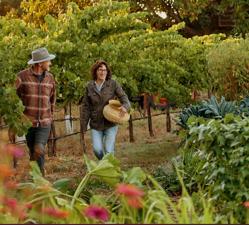 Matthiasson Wine Dinner