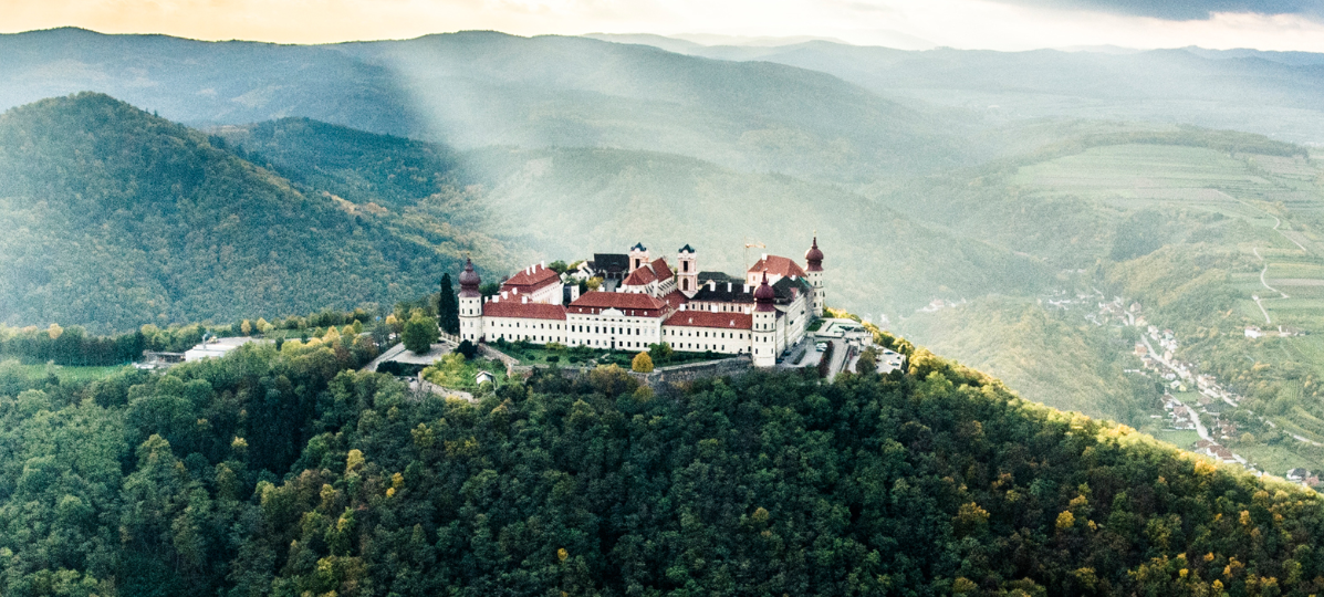 Austrian and German Wine Tasting