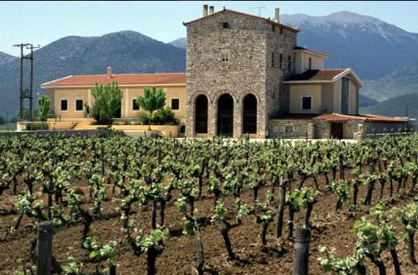 Greek Wine Dinner