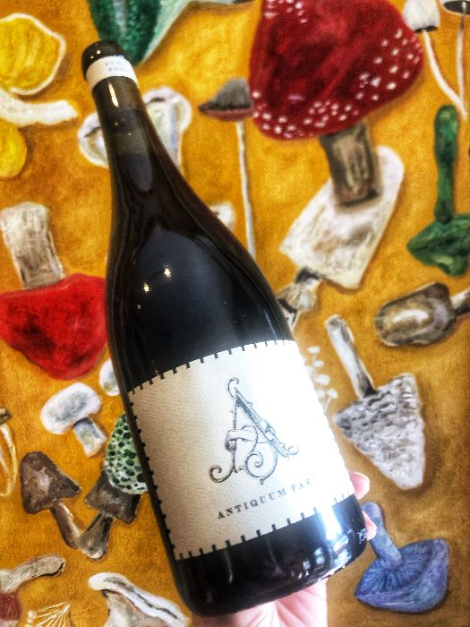 Oregon Wine Tasting