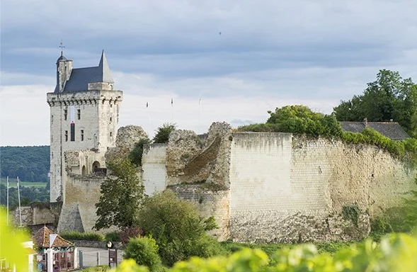French Wine Tasting