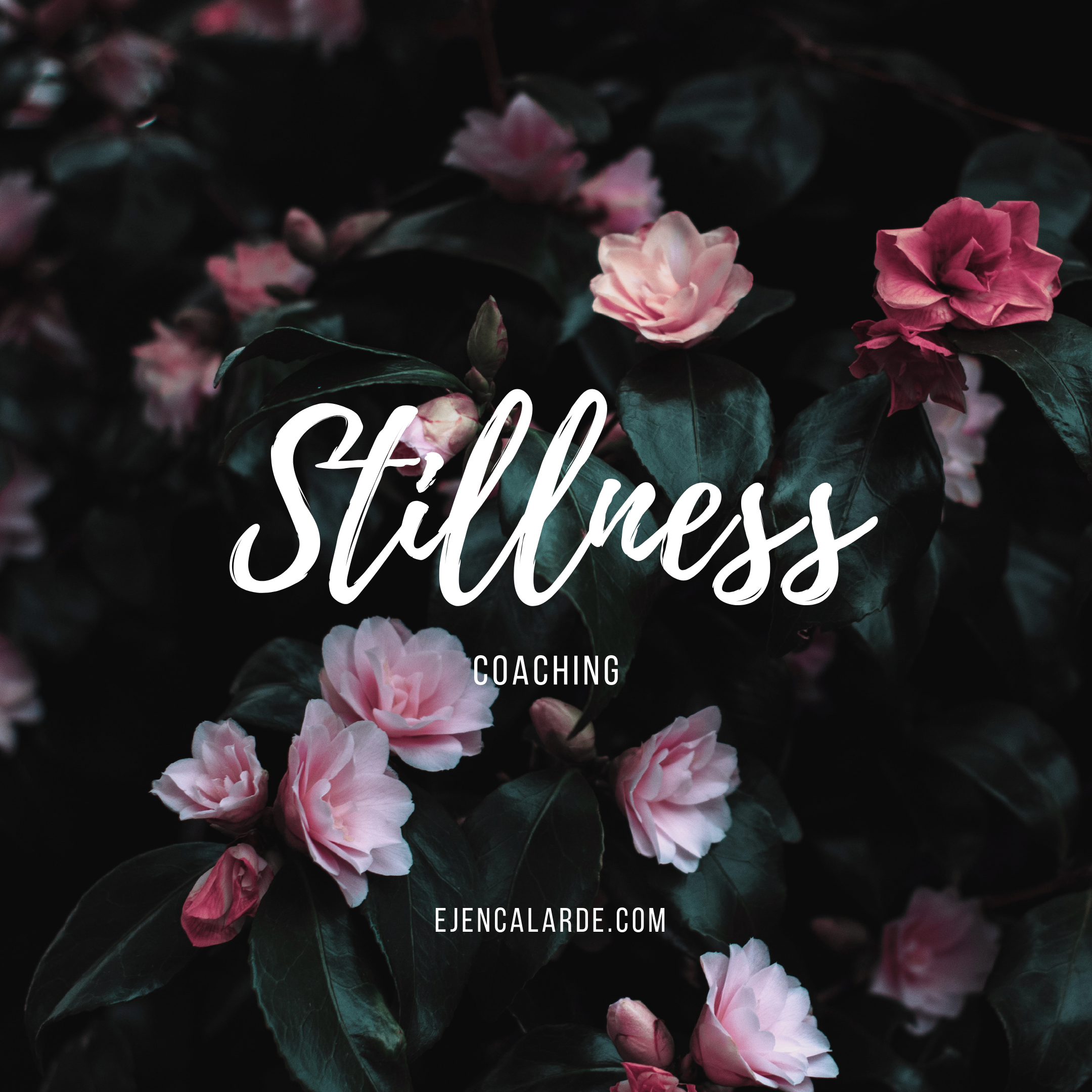 Stillness