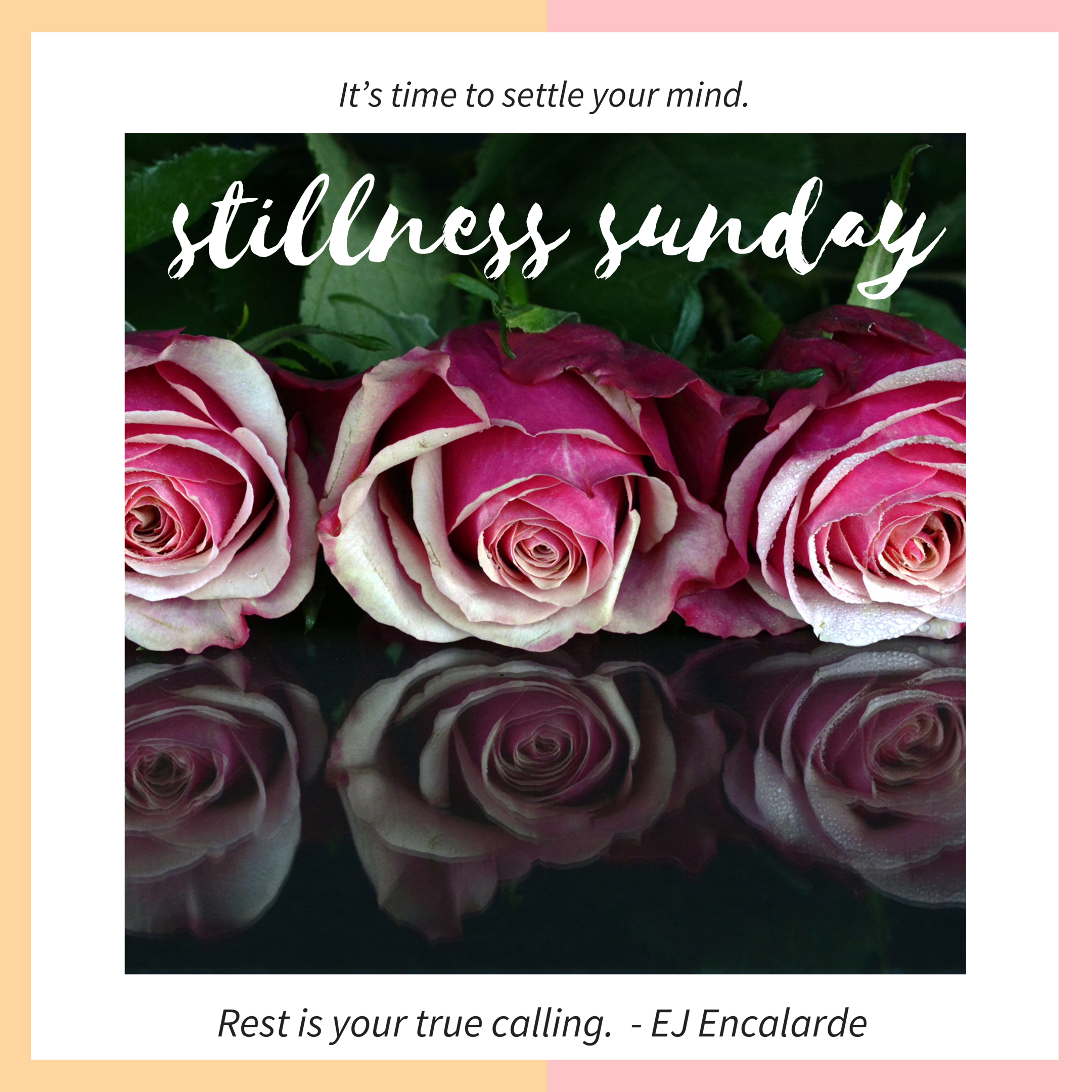 Stillness 