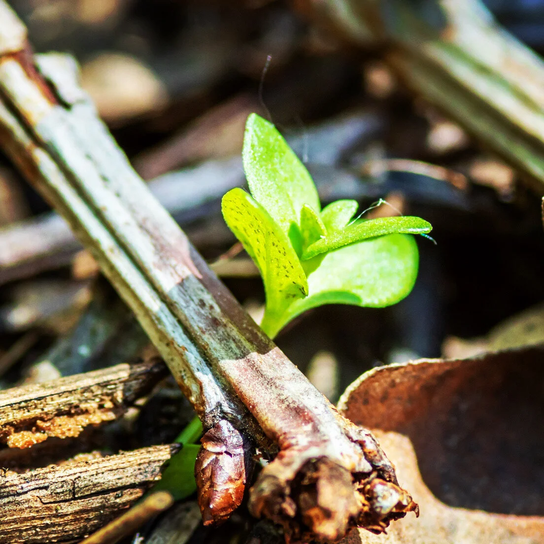 3 Keys to Become THE RESILIENT REBUILDER