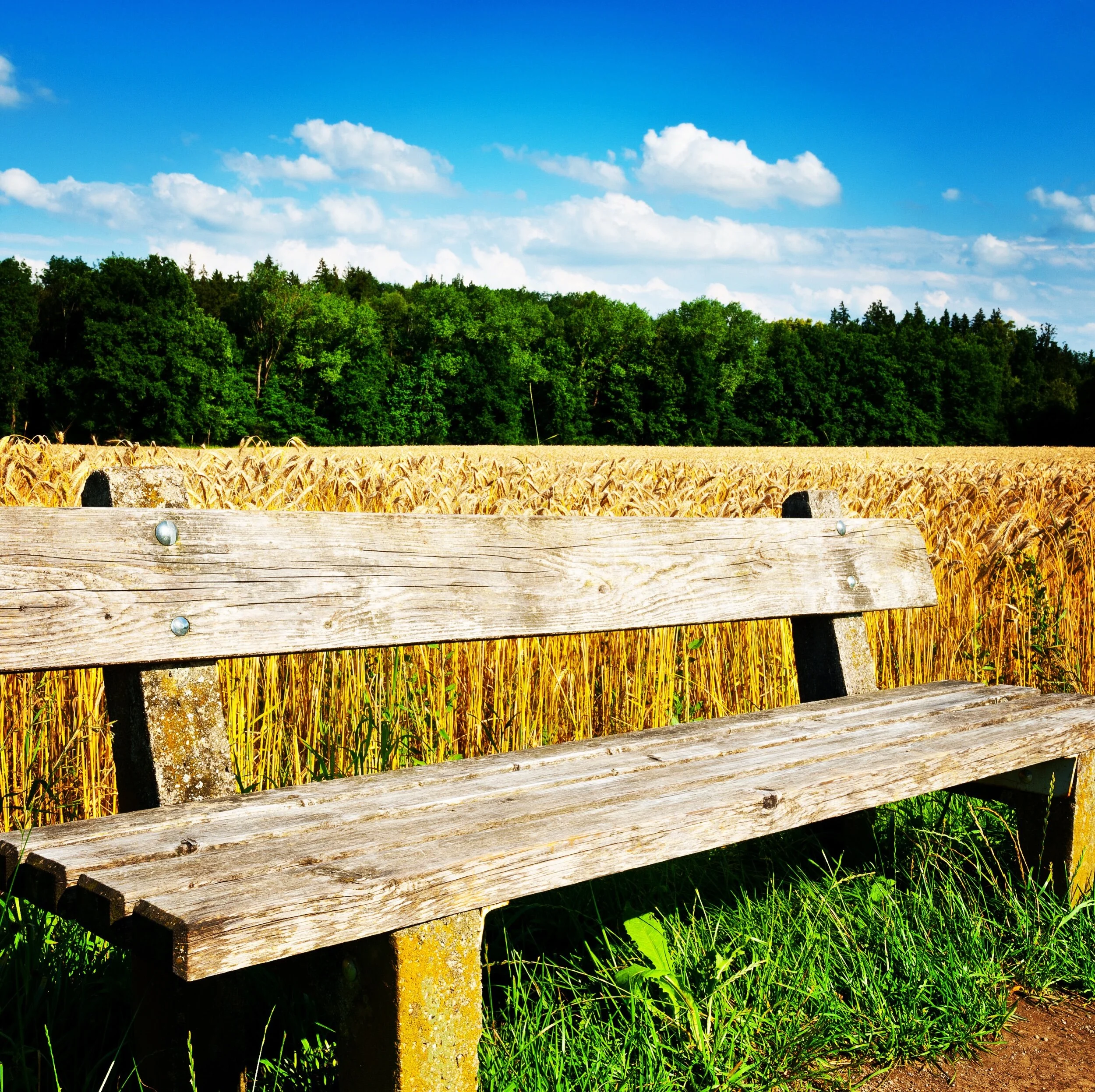 Stillness For Your New Day