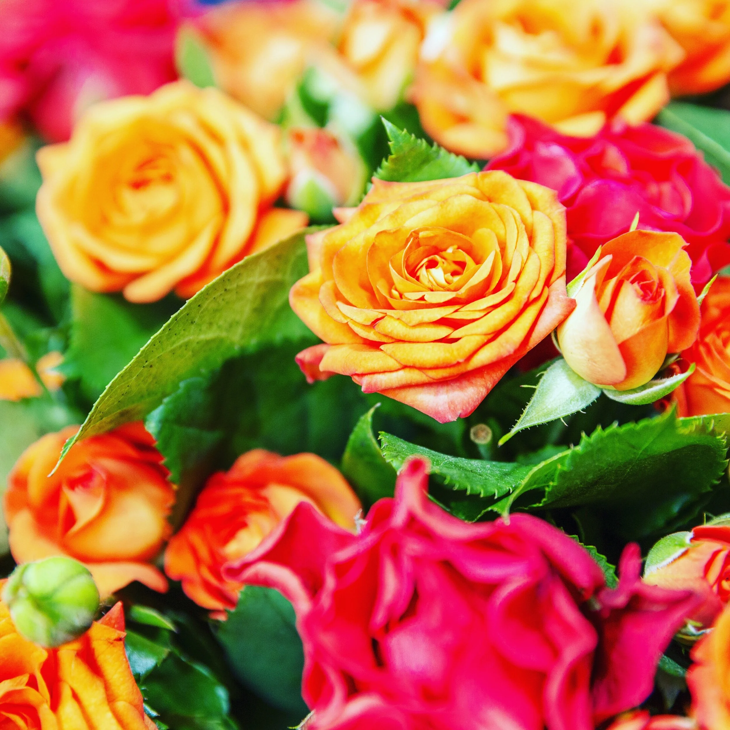 What Is My New Way To Express Change?