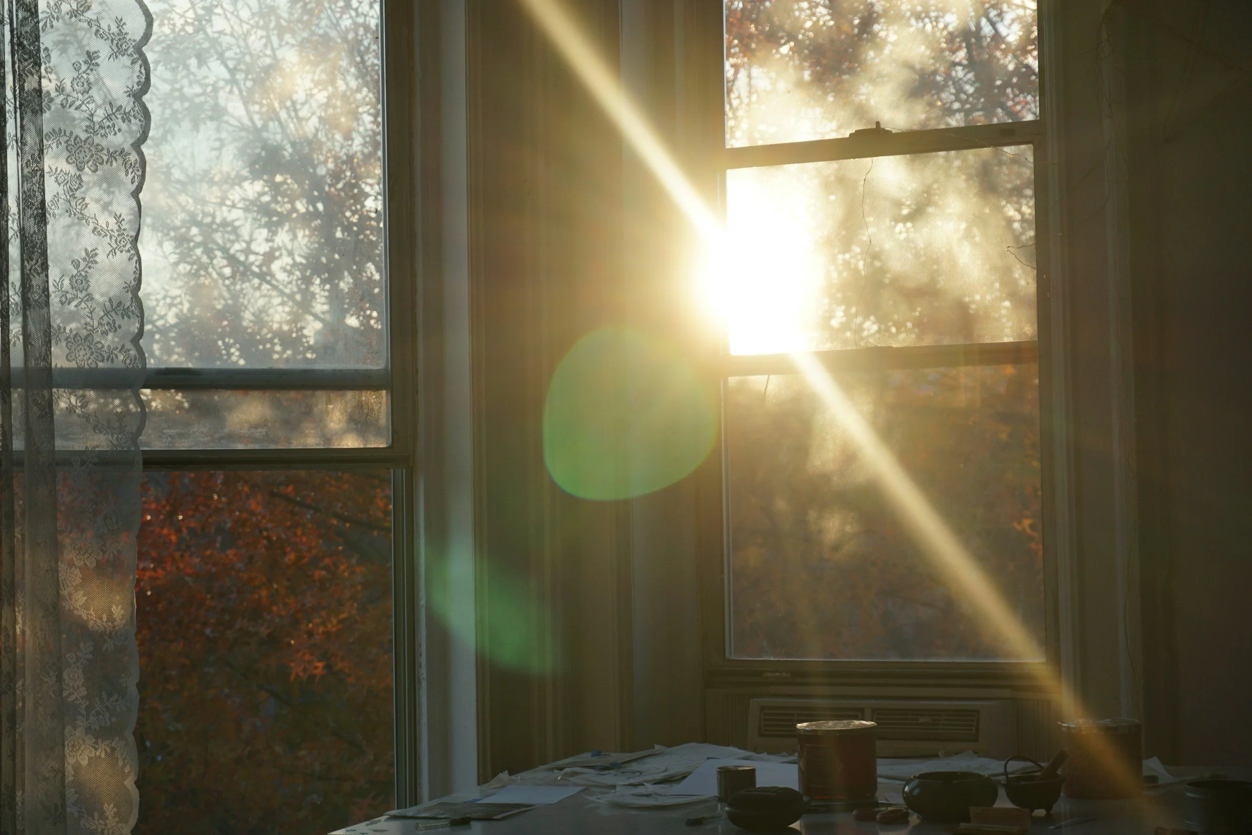 Get Your Life Back After a Festival: Total Wellness Reset