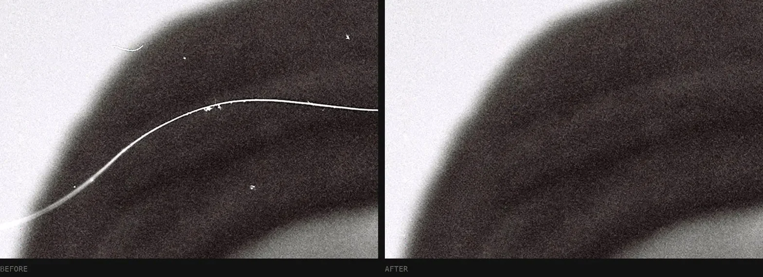Image showing before and after of dust being cleaned from a scan illustrating Spot Tone's grain matching