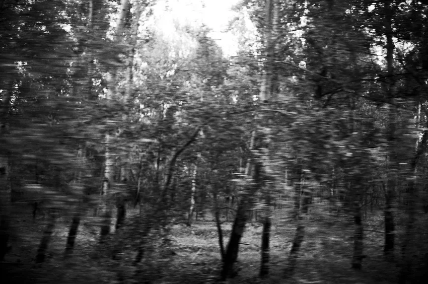 pursuance_0052_PageImage-522692-4514682-0052.jpg