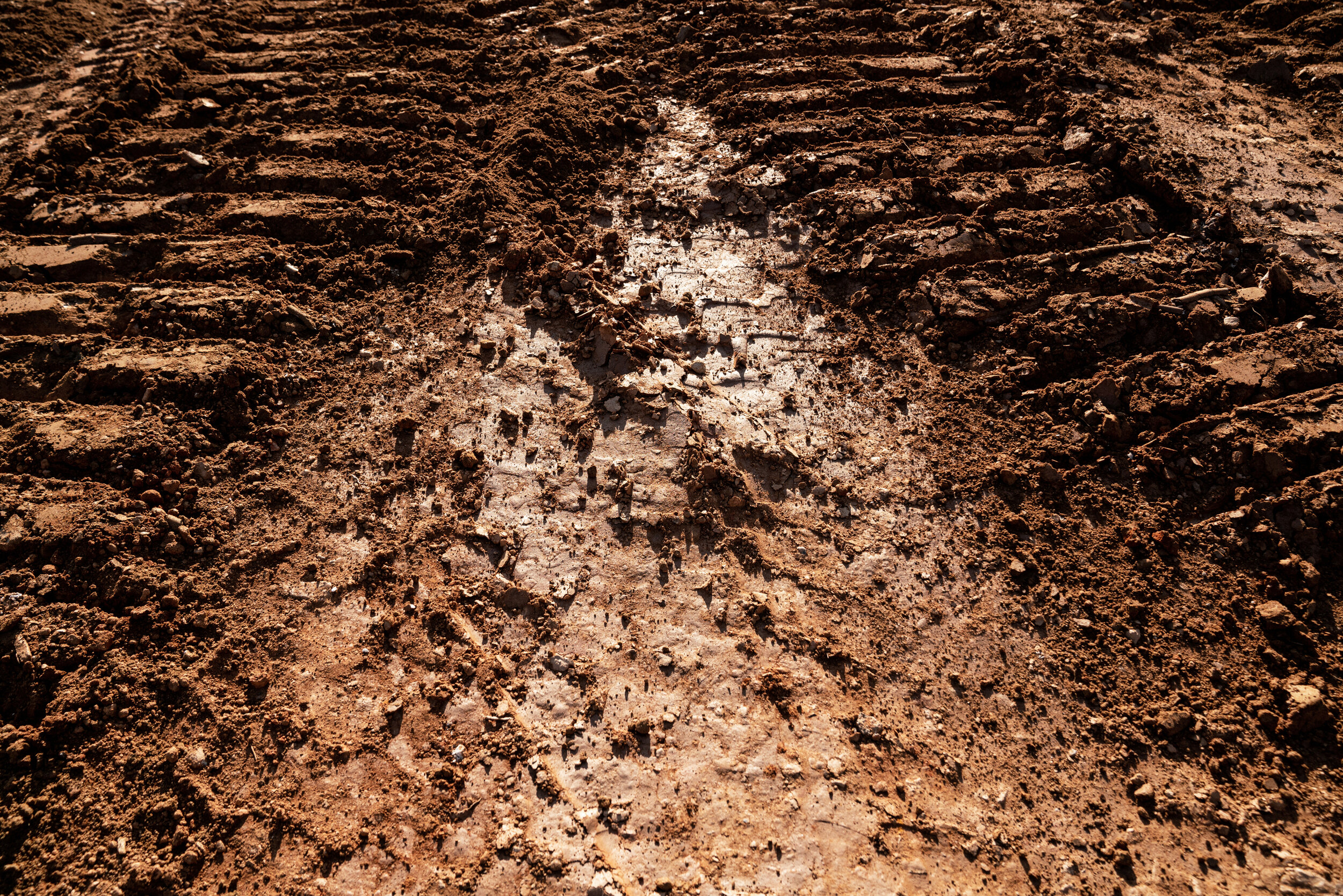 Excavator tracks in the mud.