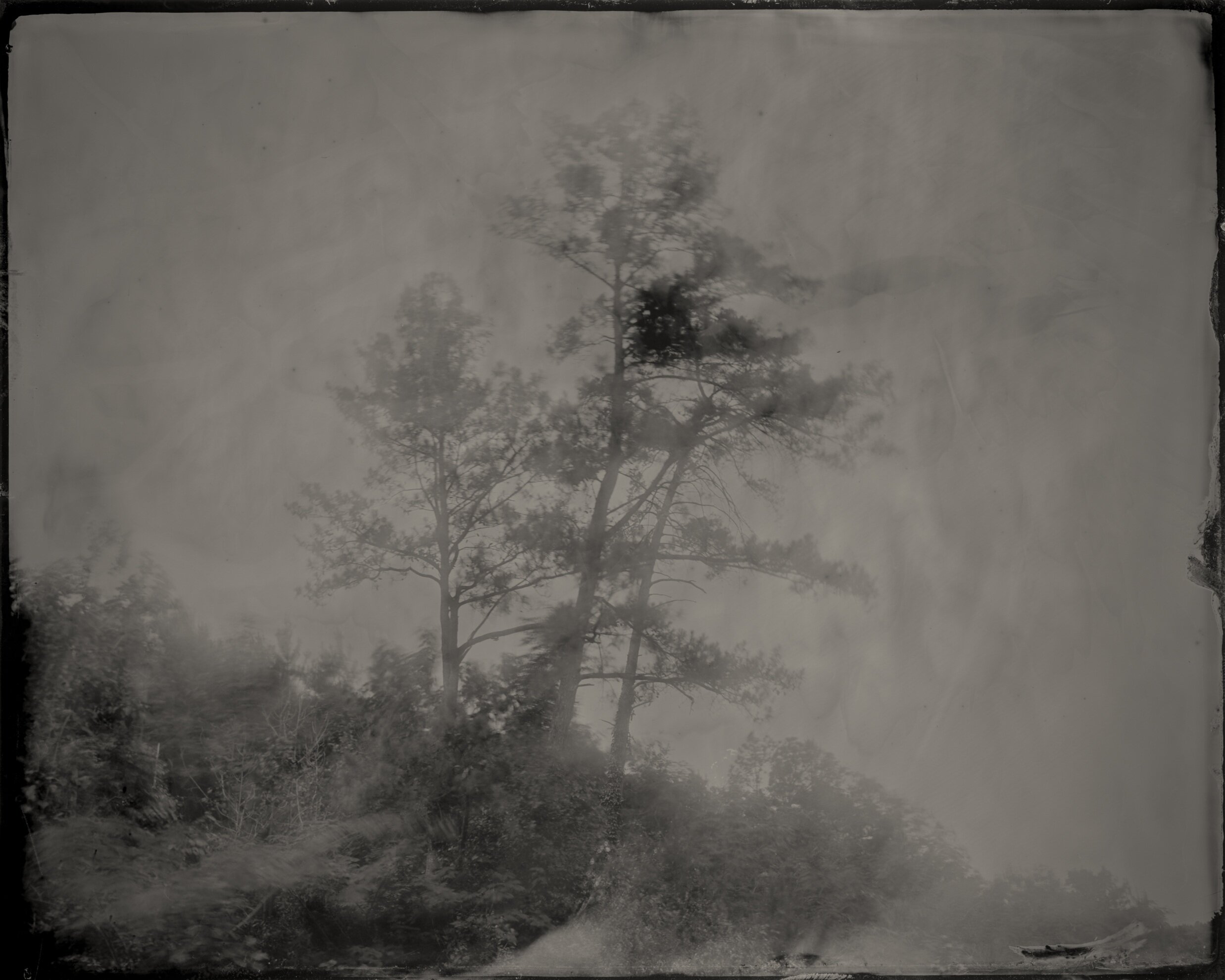    GUSDUGGER TINTYPE PHOTOGRAPHS  &nbsp;is a collaborative project by Birmingham-based photographers  CARY NORTON &nbsp;+&nbsp; JARED RAGLAND .&nbsp;   Bessemer Mounds, Jefferson County, Alabama,  2017 