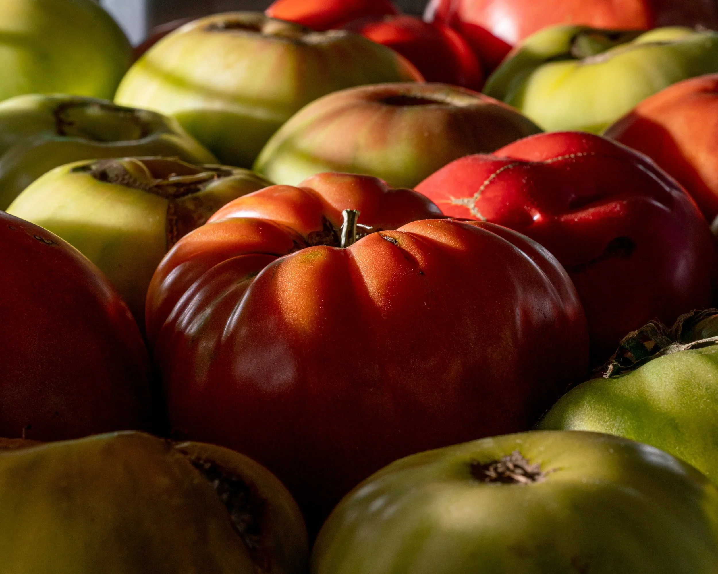 Seed to Plate for Birmingham Magazine's Food Issue