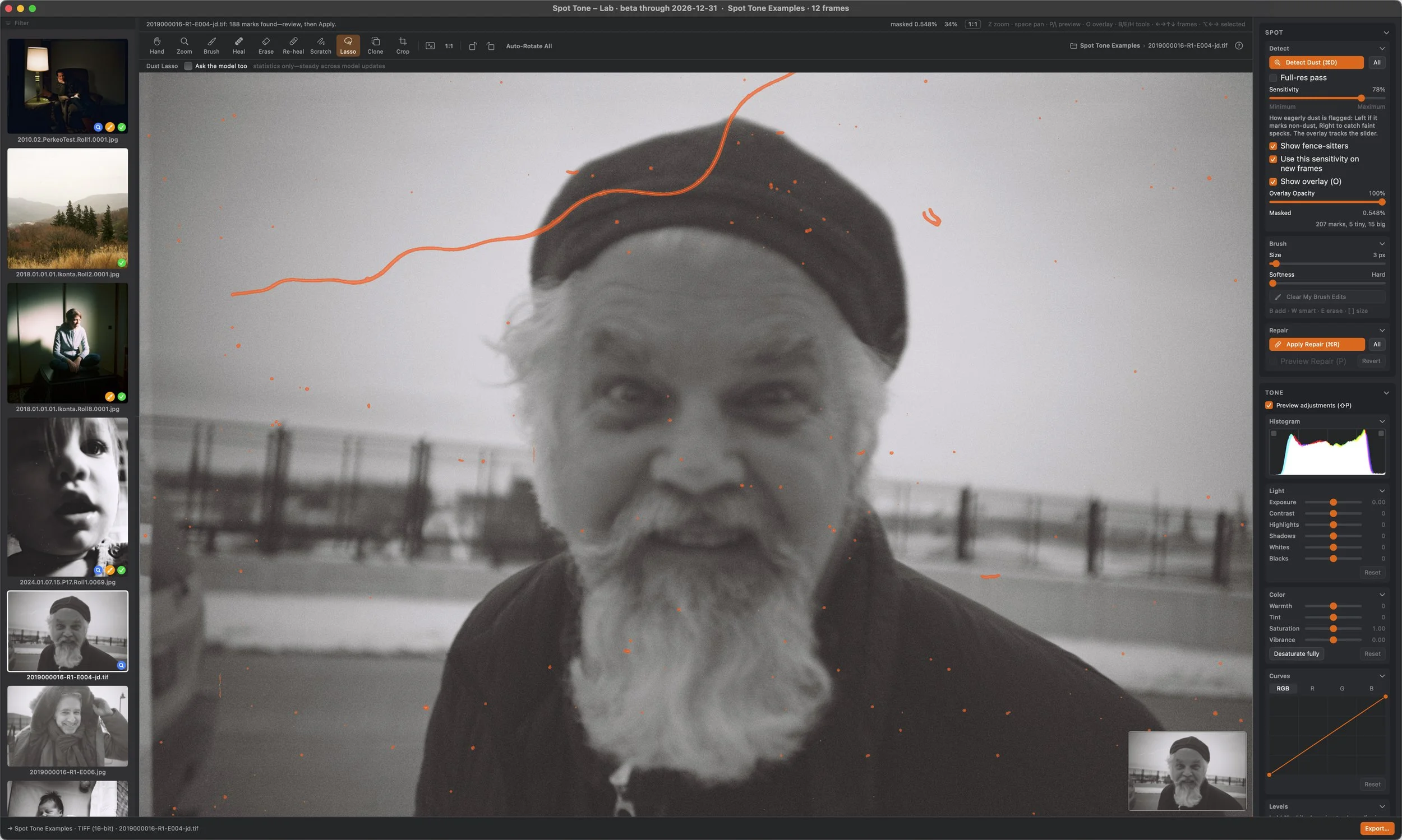 Spot Tone - Film Scan Dust Destroyer for Mac, screenshot of interface