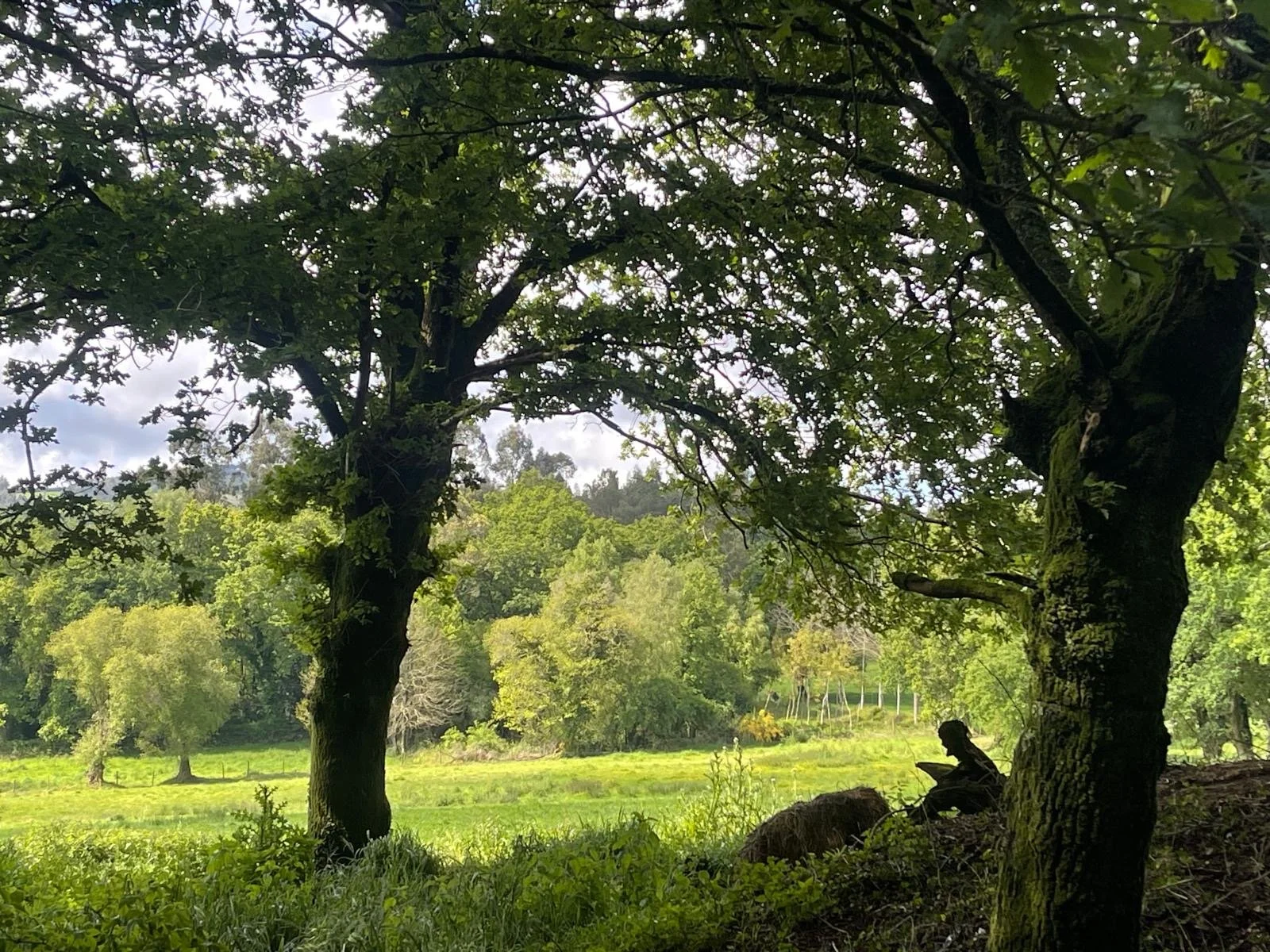 PILGRIMAGE ON THE CAMINO de SANTIAGO: Part 3