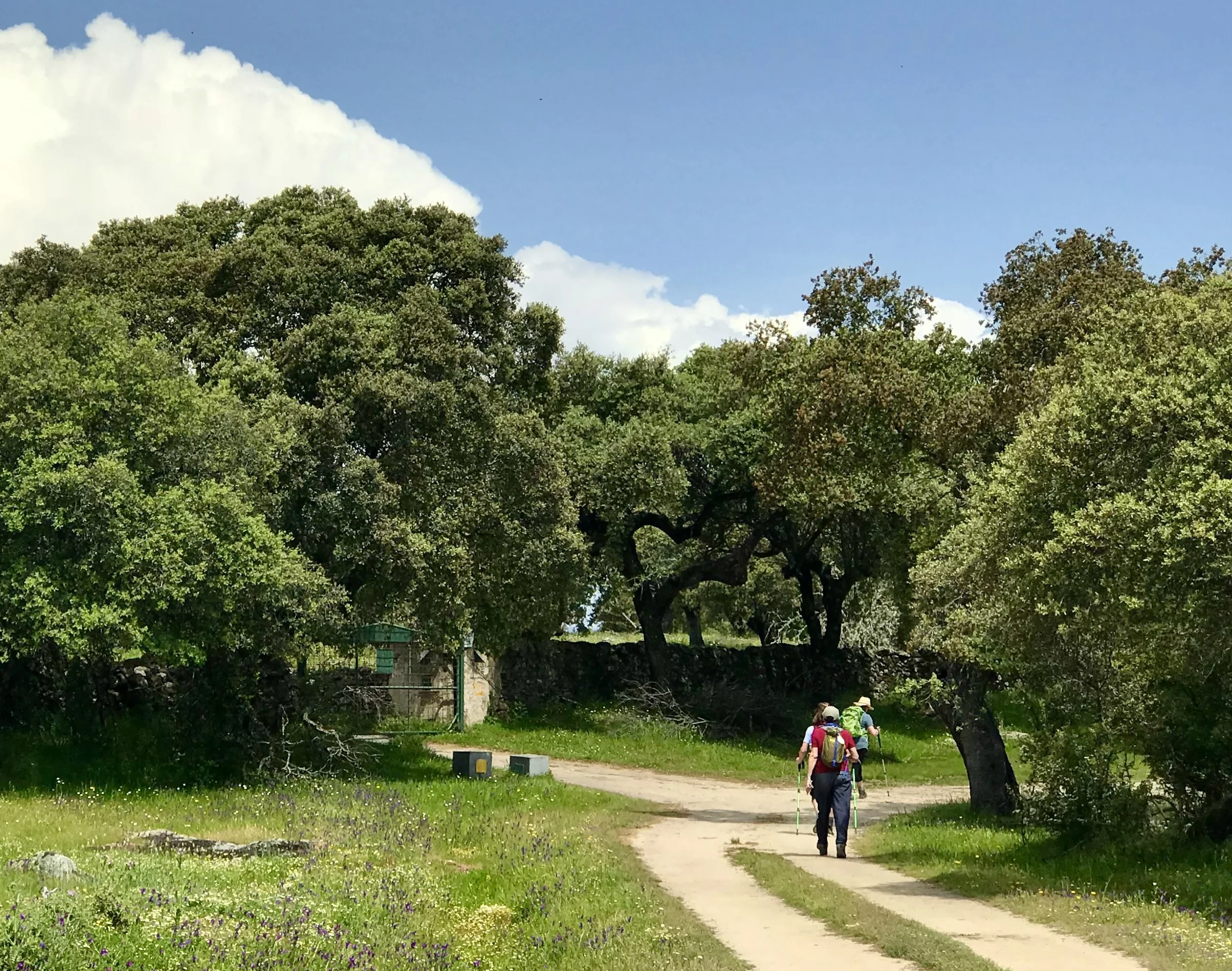 HOLY YEAR PILGRIMAGE on the CAMINO de SANTIAGO: Part 2