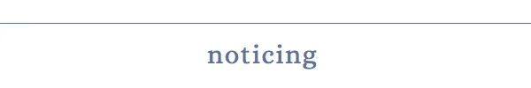 noticing.jpg
