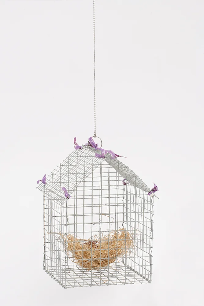 Nest Home