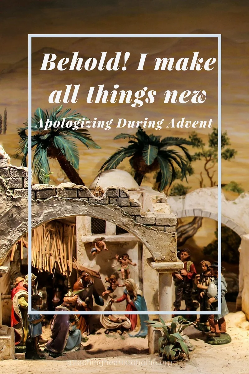 Graphic3_ Apology for Advent.jpg