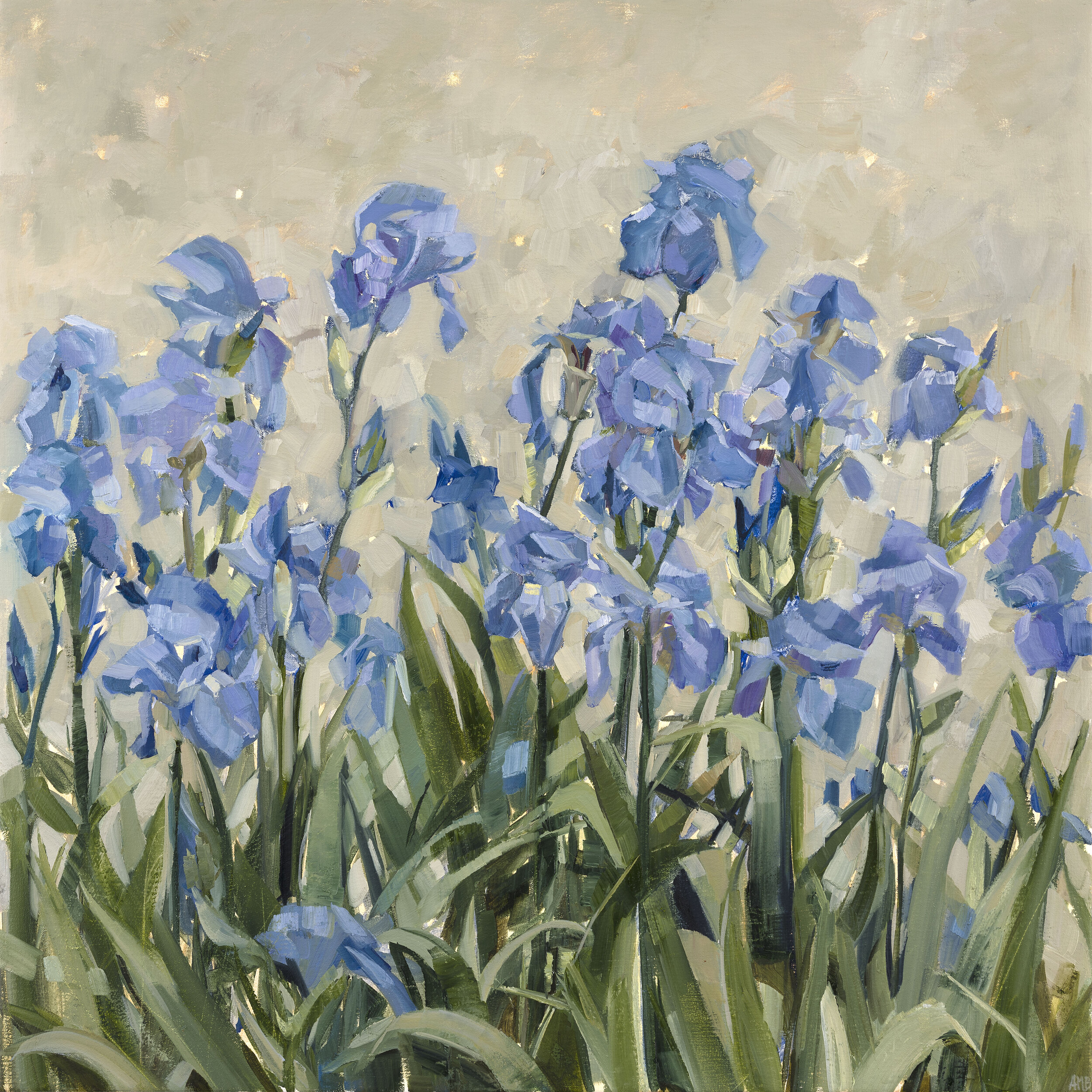 Spring Garden - Blue Iris (BSG)