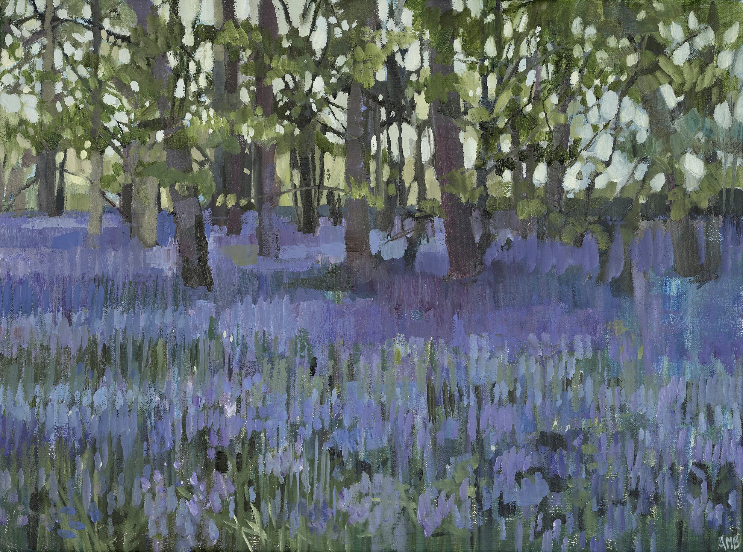 Bluebell Wood